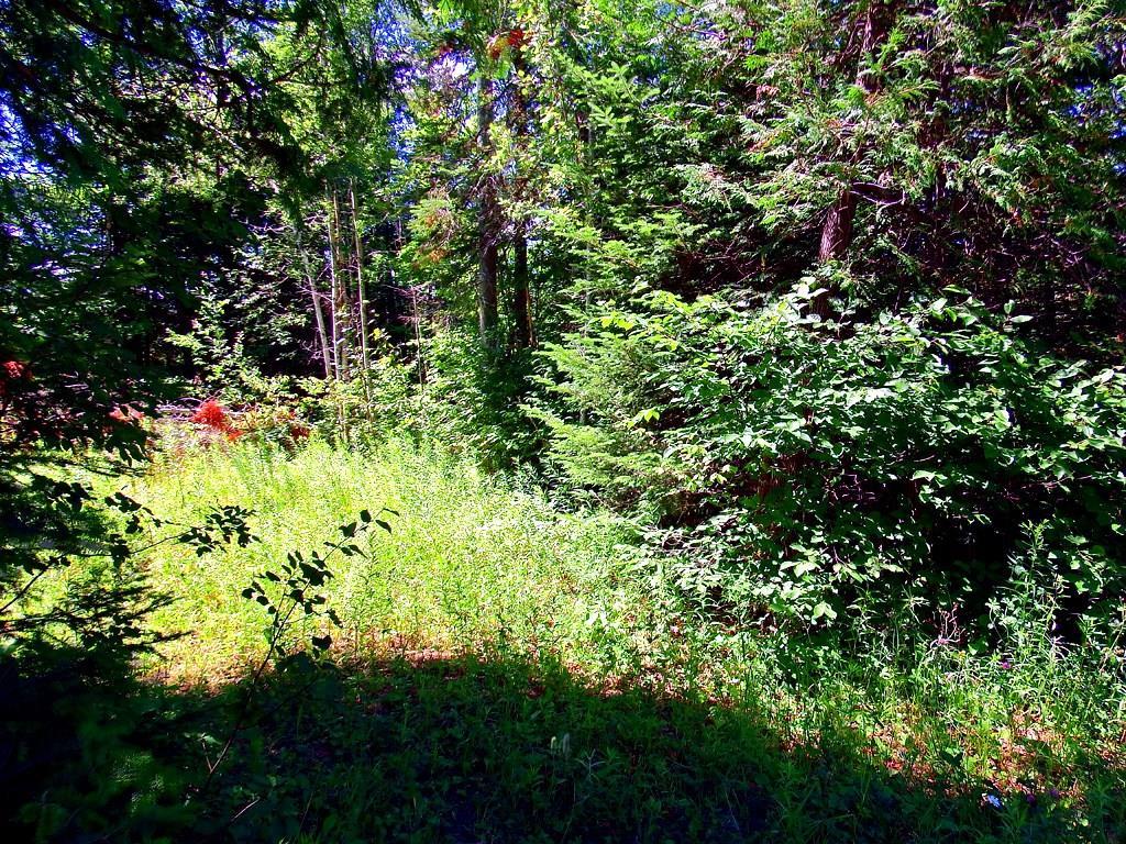 167 Montieth Road Bridgewater, ME 04735 - Photo 18 of 18 Photo