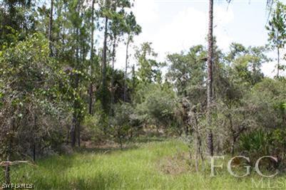 175 Silver Lake Road Southwest LaBelle, FL 33935 - Photo 3 of 8 Gallery Image 3