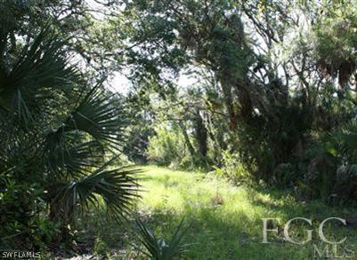 175 Silver Lake Road Southwest LaBelle, FL 33935 - Photo 4 of 8 Gallery Image 4