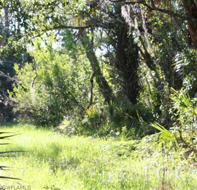175 Silver Lake Road Southwest LaBelle, FL 33935 - Photo 5 of 8 Gallery Image 5