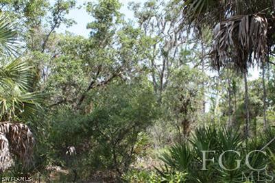 175 Silver Lake Road Southwest LaBelle, FL 33935 - Photo 6 of 8 Gallery Image 6