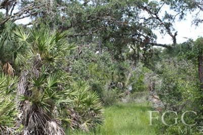 175 Silver Lake Road Southwest LaBelle, FL 33935 - Photo 7 of 8 Gallery Image 7