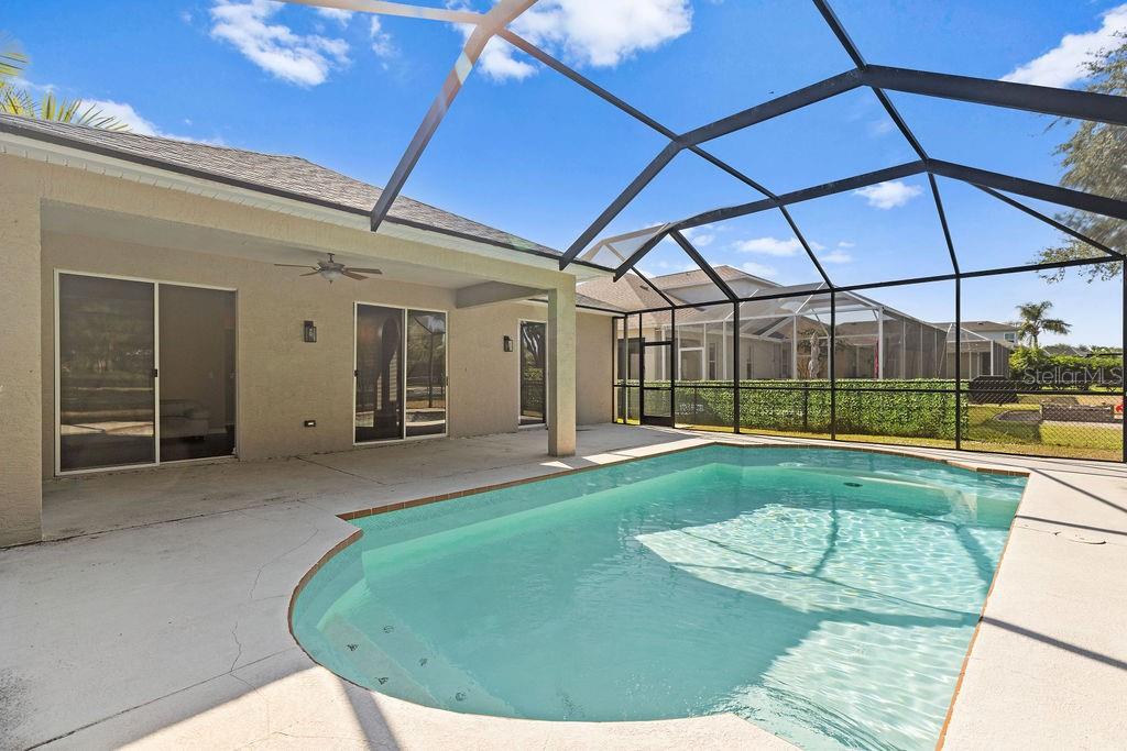 10641 Firebrick Court Trinity, FL 34655 - Photo 29 of 47 a view of a backyard