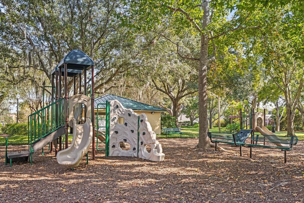 10641 Firebrick Court Trinity, FL 34655 - Photo 34 of 47 a view of a park with a tree