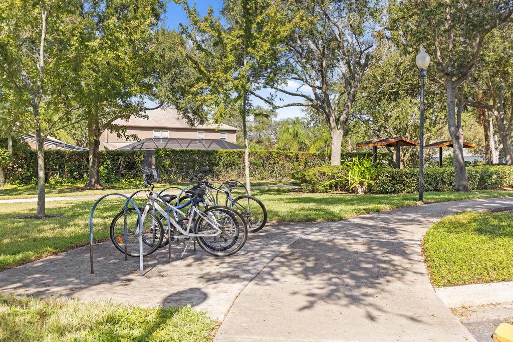 10641 Firebrick Court Trinity, FL 34655 - Photo 36 of 47 a view of a backyard with a patio