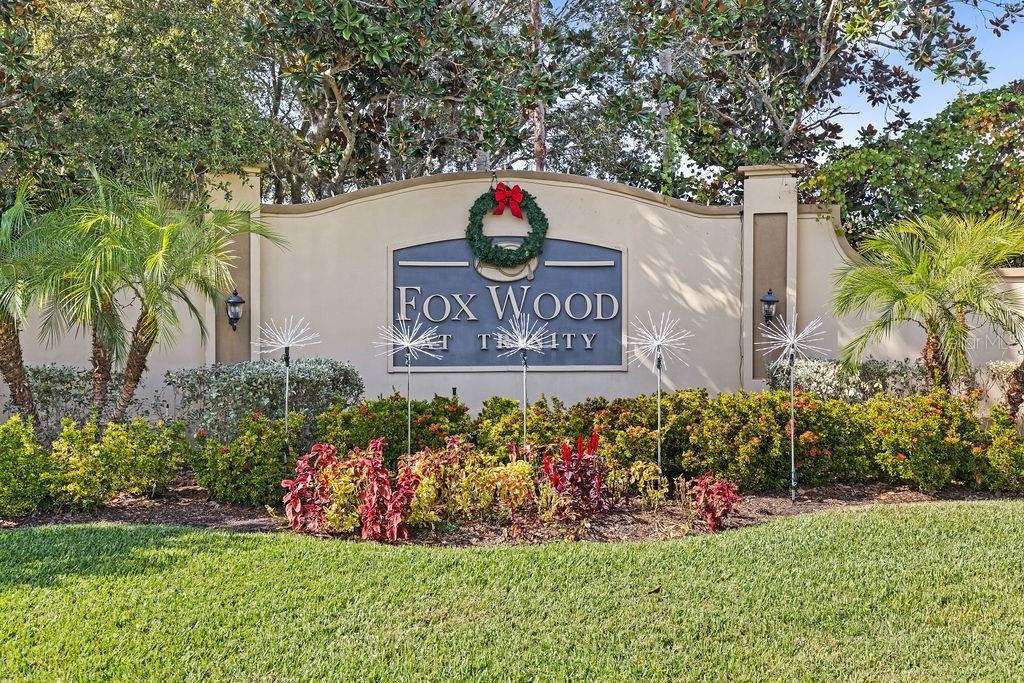 10641 Firebrick Court Trinity, FL 34655 - Photo 37 of 47 a view of sign board and a yard