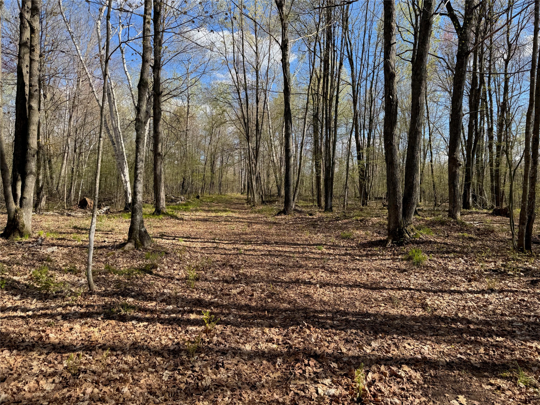 Lot 7 Trapper Trail Hayward, WI 54843 - Photo 29 of 42