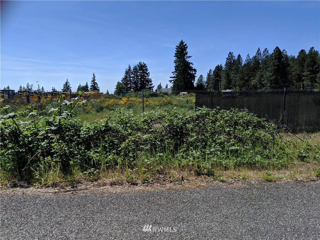 111 Jare Street Southwest Rochester, WA 98579 - Photo 2 of 3 a view of a garden