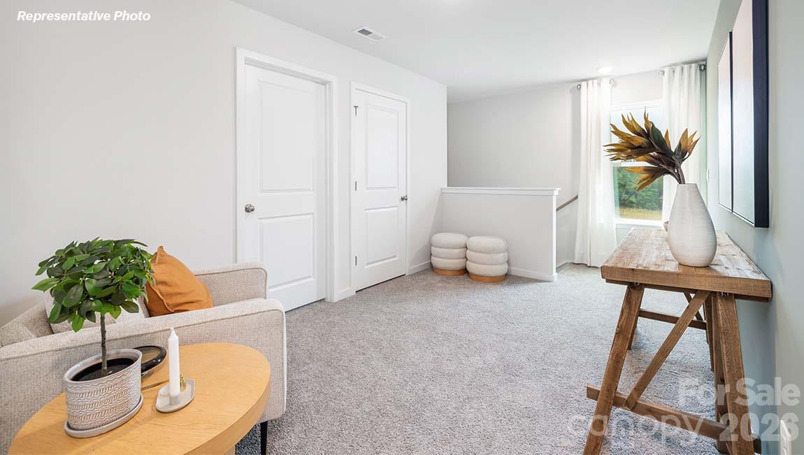 2150 10th Street Southeast Hickory, NC 28601 - Photo 26 of 30 a living room with furniture and a potted plant