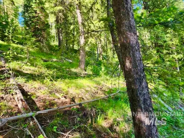 $50,000 | Tbd Atlanta Circle, Lowman, ID 83637
