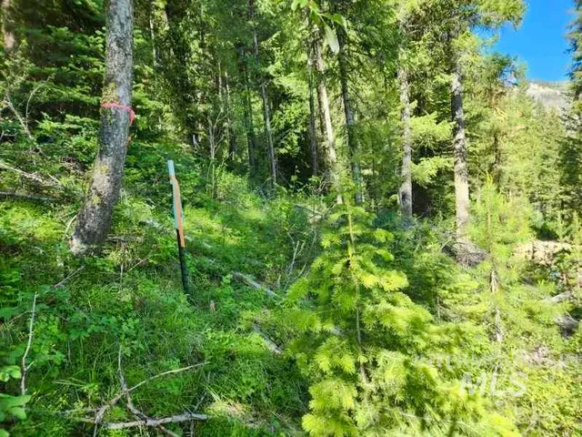 $50,000 | Tbd Atlanta Circle, Lowman, ID 83637