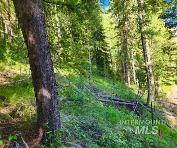 $50,000 | Tbd Atlanta Circle, Lowman, ID 83637
