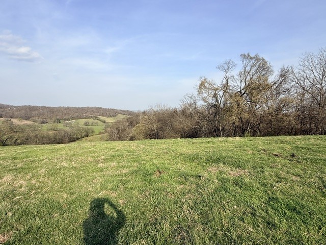 2200 Sugar Ridge Road Spring Hill, TN 37174 - Photo 8 of 9