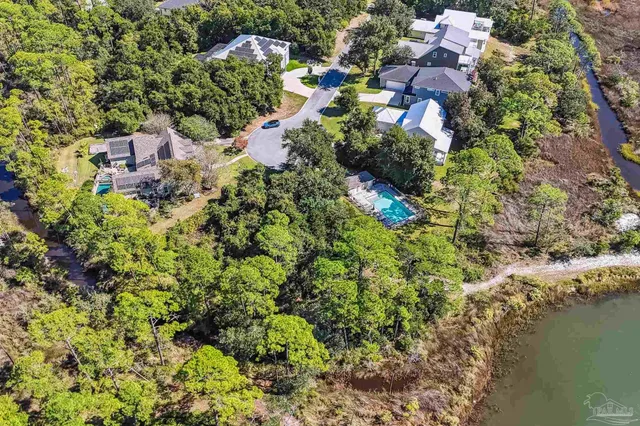 a view of a park with large trees