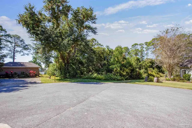 a view of a yard with plants and large trees