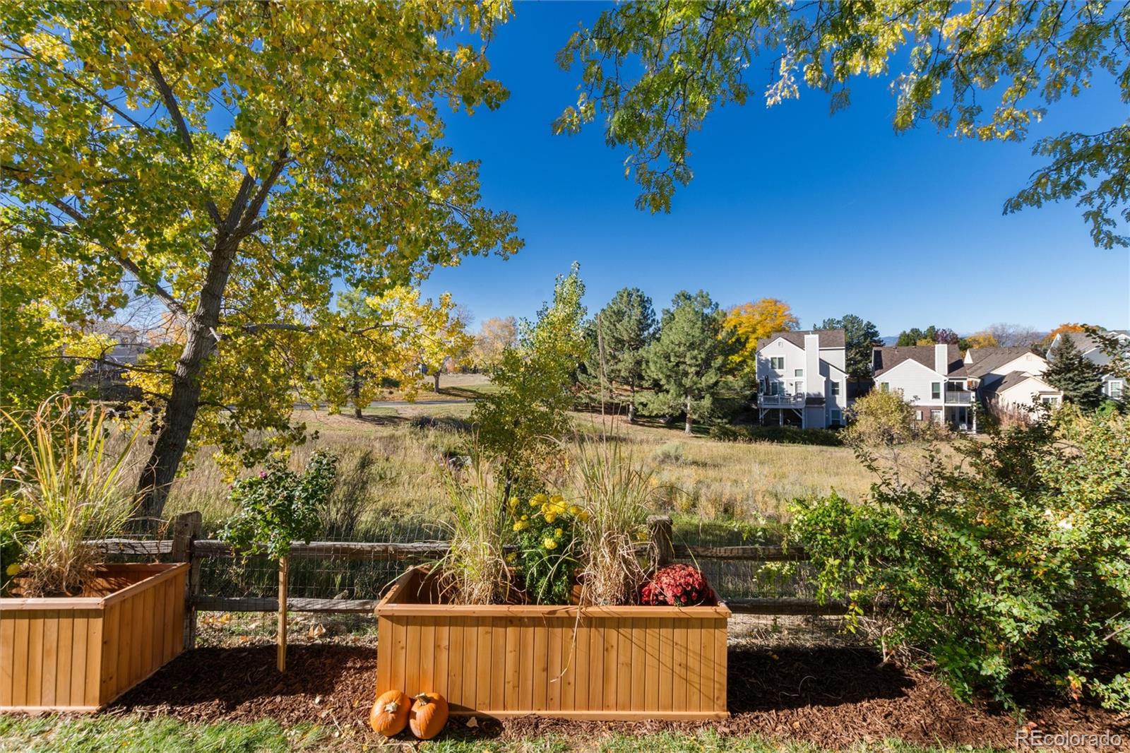 9047 Mountain Laurel Way Highlands Ranch, CO 80126 - Photo 18 of 23