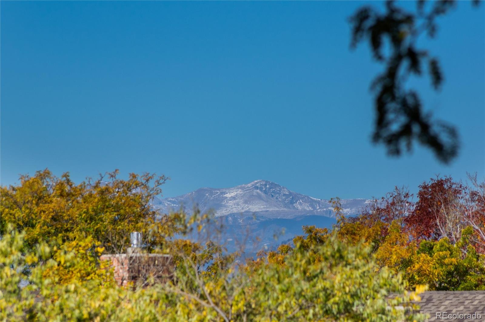 9047 Mountain Laurel Way Highlands Ranch, CO 80126 - Photo 19 of 23