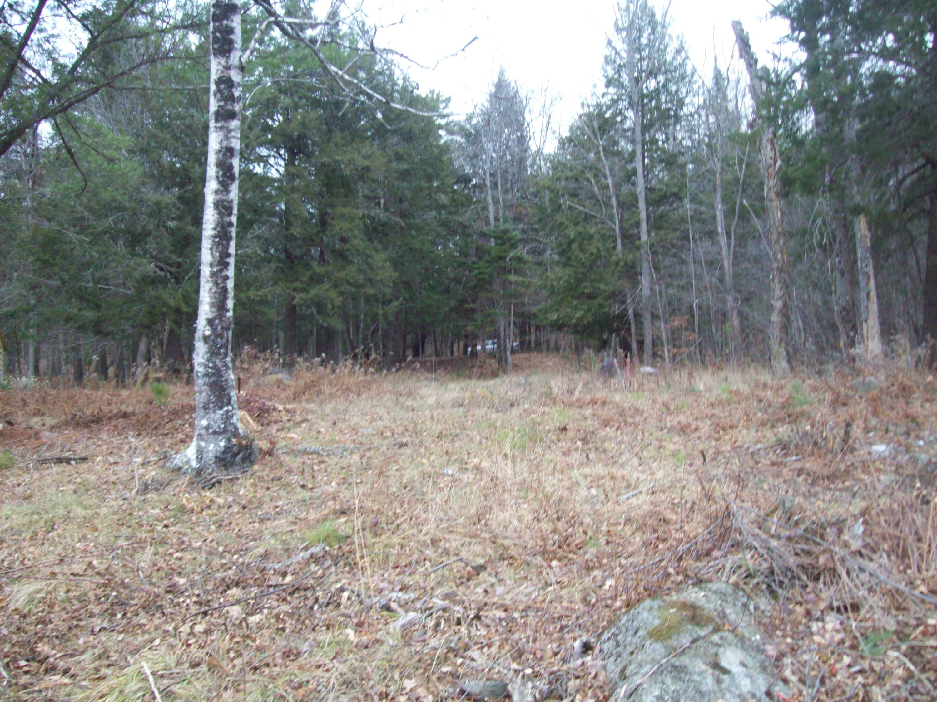 63 Bear Point Road Dover-Foxcroft, ME 04426 - Photo 12 of 16 100_0642