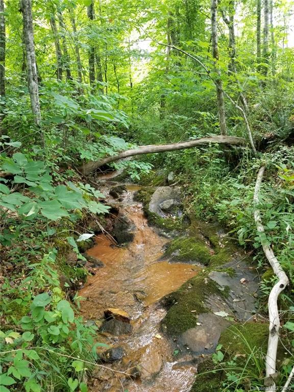 0 Coopers Gap Road Rutherfordton, NC 28139 - Photo 1 of 9