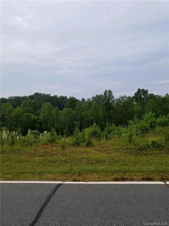0 Coopers Gap Road Rutherfordton, NC 28139 - Photo 3 of 9
