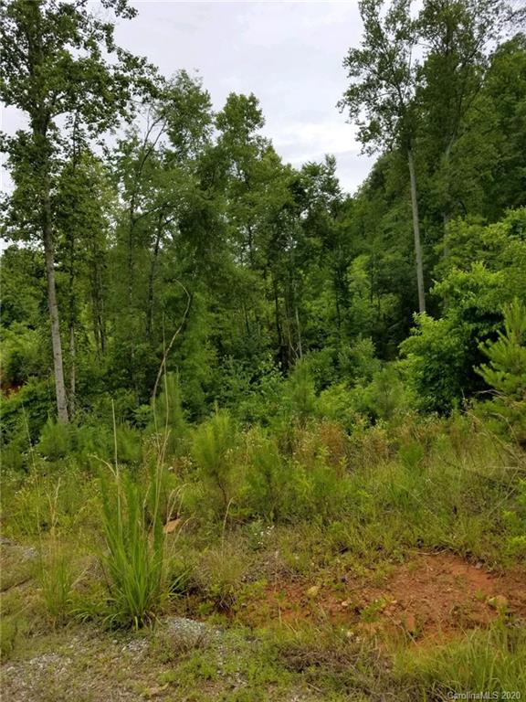 0 Coopers Gap Road Rutherfordton, NC 28139 - Photo 4 of 9