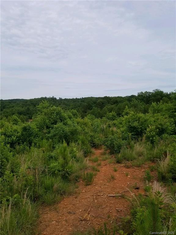 0 Coopers Gap Road Rutherfordton, NC 28139 - Photo 5 of 9