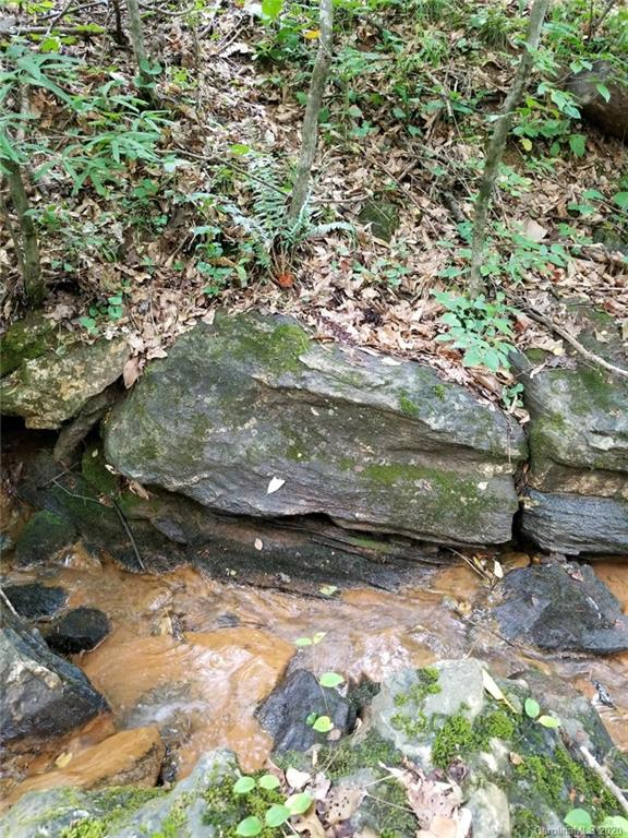 0 Coopers Gap Road Rutherfordton, NC 28139 - Photo 6 of 9