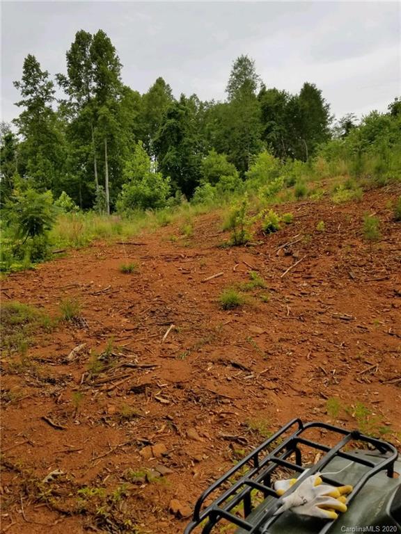 0 Coopers Gap Road Rutherfordton, NC 28139 - Photo 7 of 9