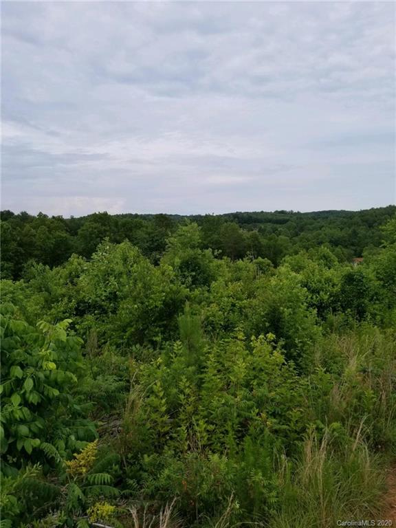 0 Coopers Gap Road Rutherfordton, NC 28139 - Photo 8 of 9
