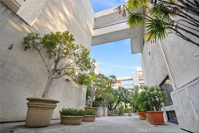 a potted plant sitting in front of a door