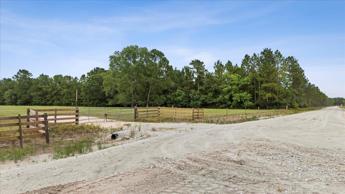 Ooo Horseshoe Road Kountze, TX 77625 - Photo 4 of 17