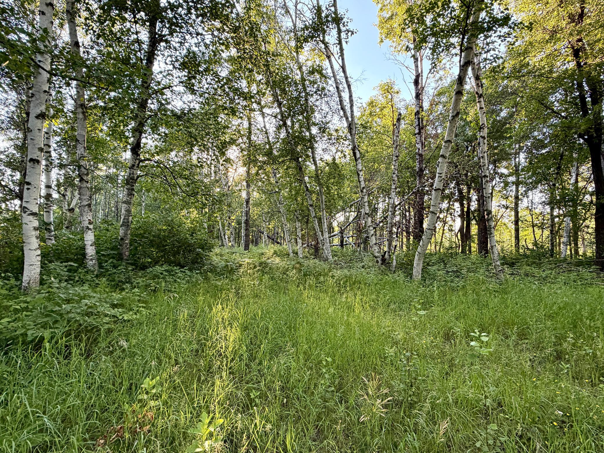 L18-b1 L18-b1 Acorn Ridge Road Northwest Bemidji, MN 56601 - Photo 7 of 11