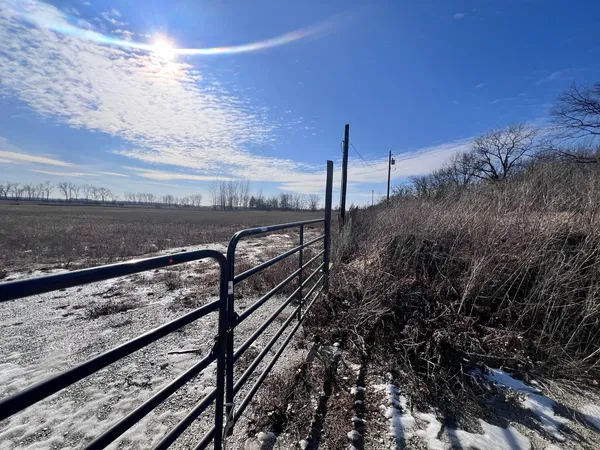 a view of a pathway with a wrought fence