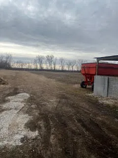 a view of a dry yard with wooden fence