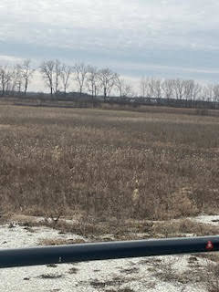 16326 6000th Road South Pembroke Township, IL 60958 - Photo 8 of 41