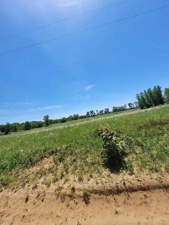 a view of a street with a yard
