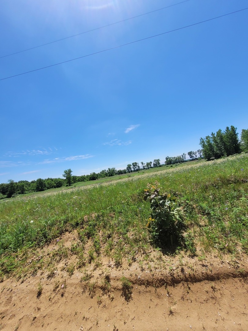 16326 6000th Road South Pembroke Township, IL 60958 - Photo 9 of 42 a view of a field with an ocean