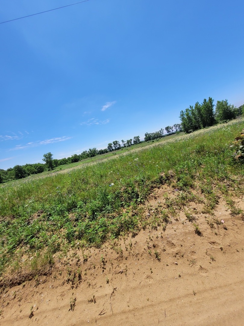 16326 6000th Road South Pembroke Township, IL 60958 - Photo 10 of 42 a view of a field with an ocean