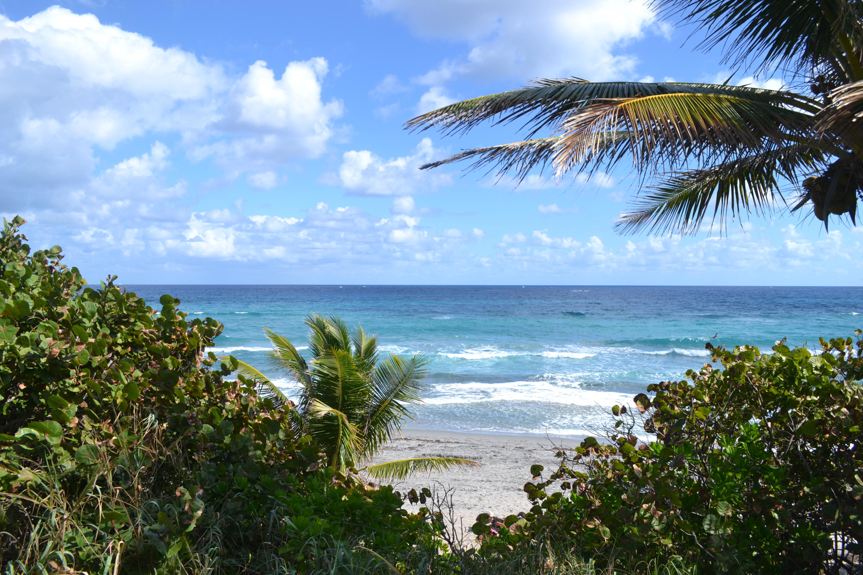 440 Northeast 35th Street Boca Raton, FL 33431 - Photo 17 of 20 Red Reef Park