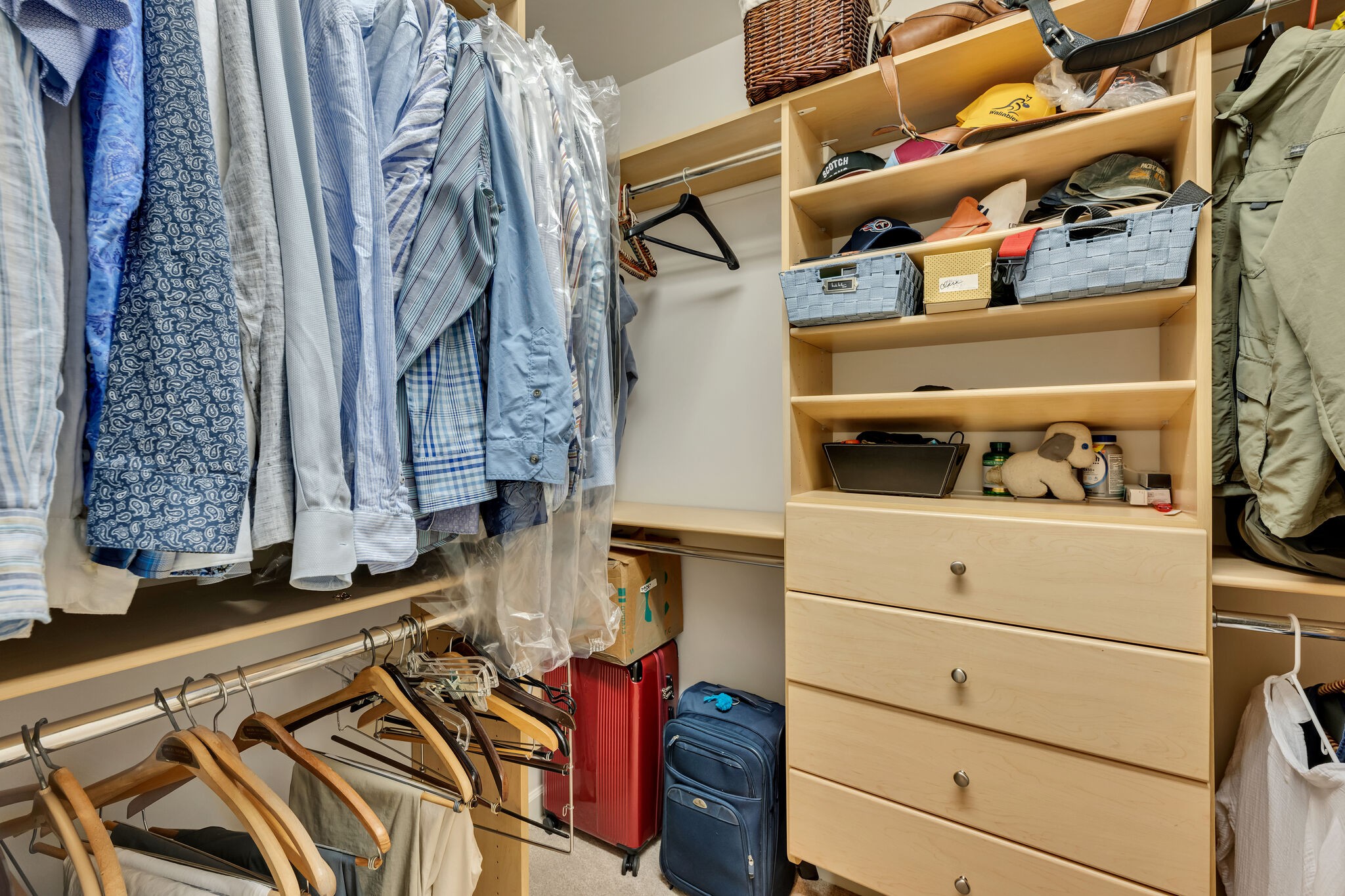 145 Carphilly Circle Franklin, TN 37069 - Photo 24 of 42