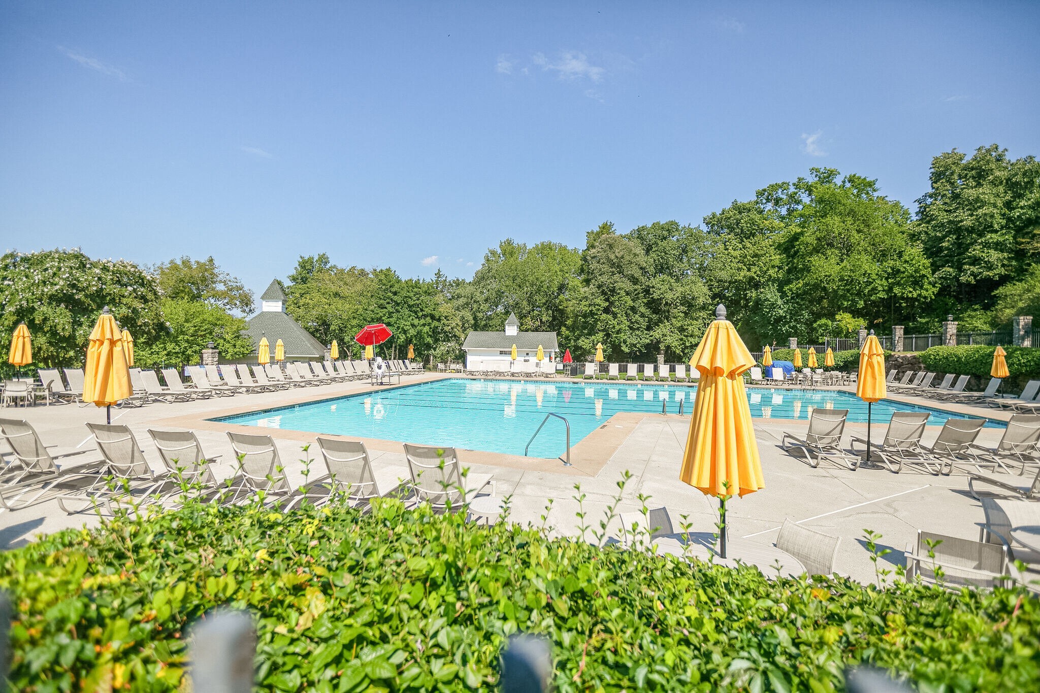 145 Carphilly Circle Franklin, TN 37069 - Photo 41 of 42