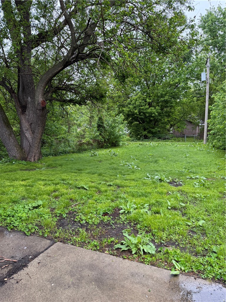 1166 East Walnut Street Decatur, IL 62526 - Photo 4 of 18