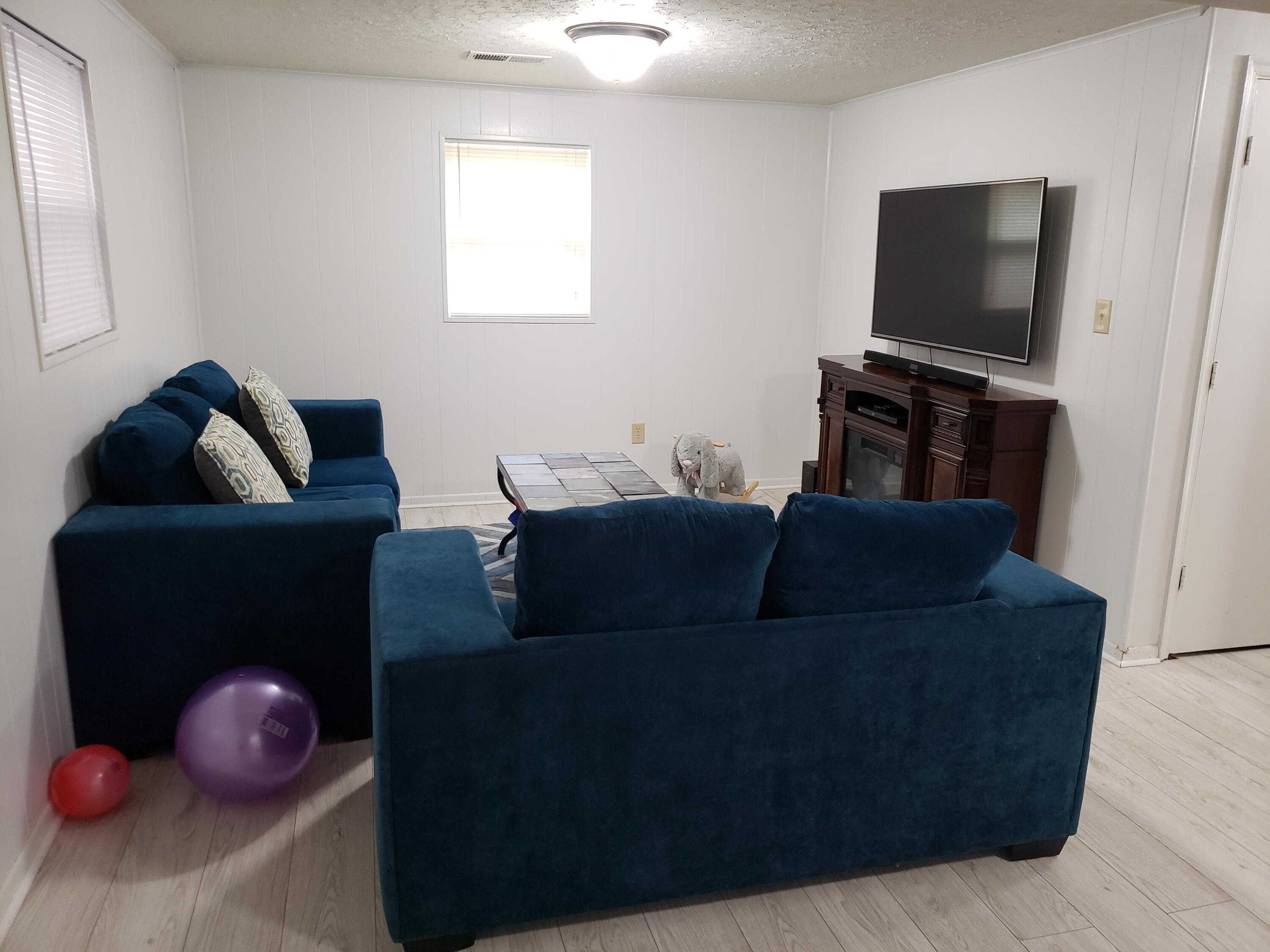 2829 Elderwood Road Salem, VA 24153 - Photo 22 of 40 Lower Level Rec Room
