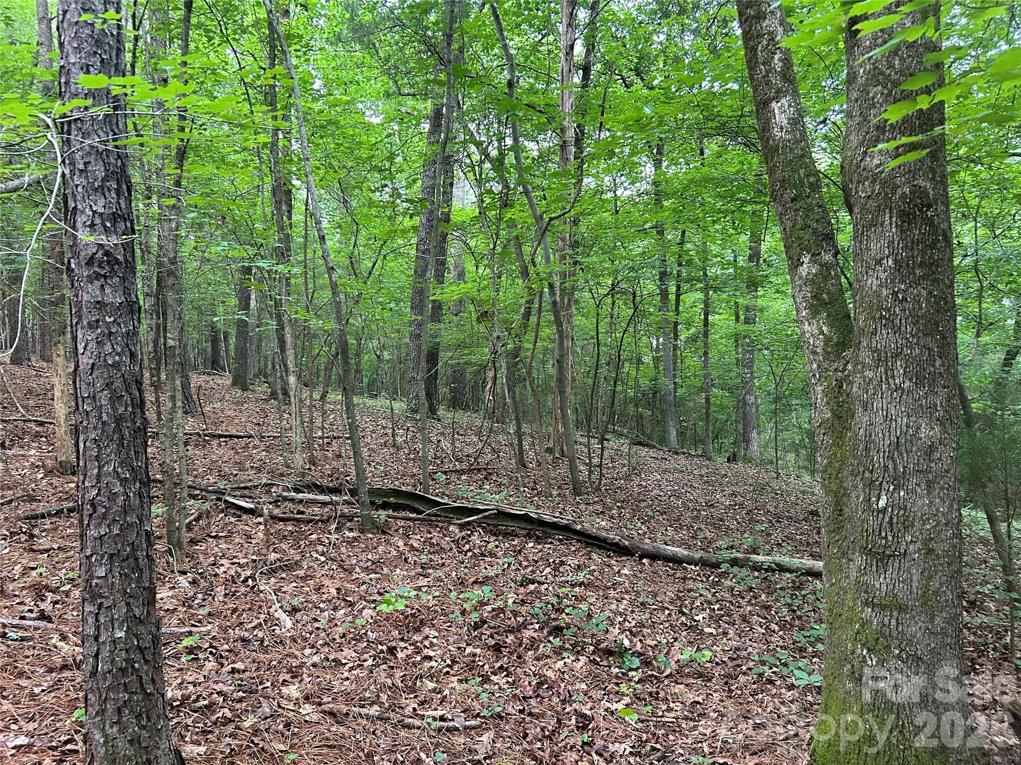 3909 Wightman Church Road Polkton, NC 28135 - Photo 39 of 48