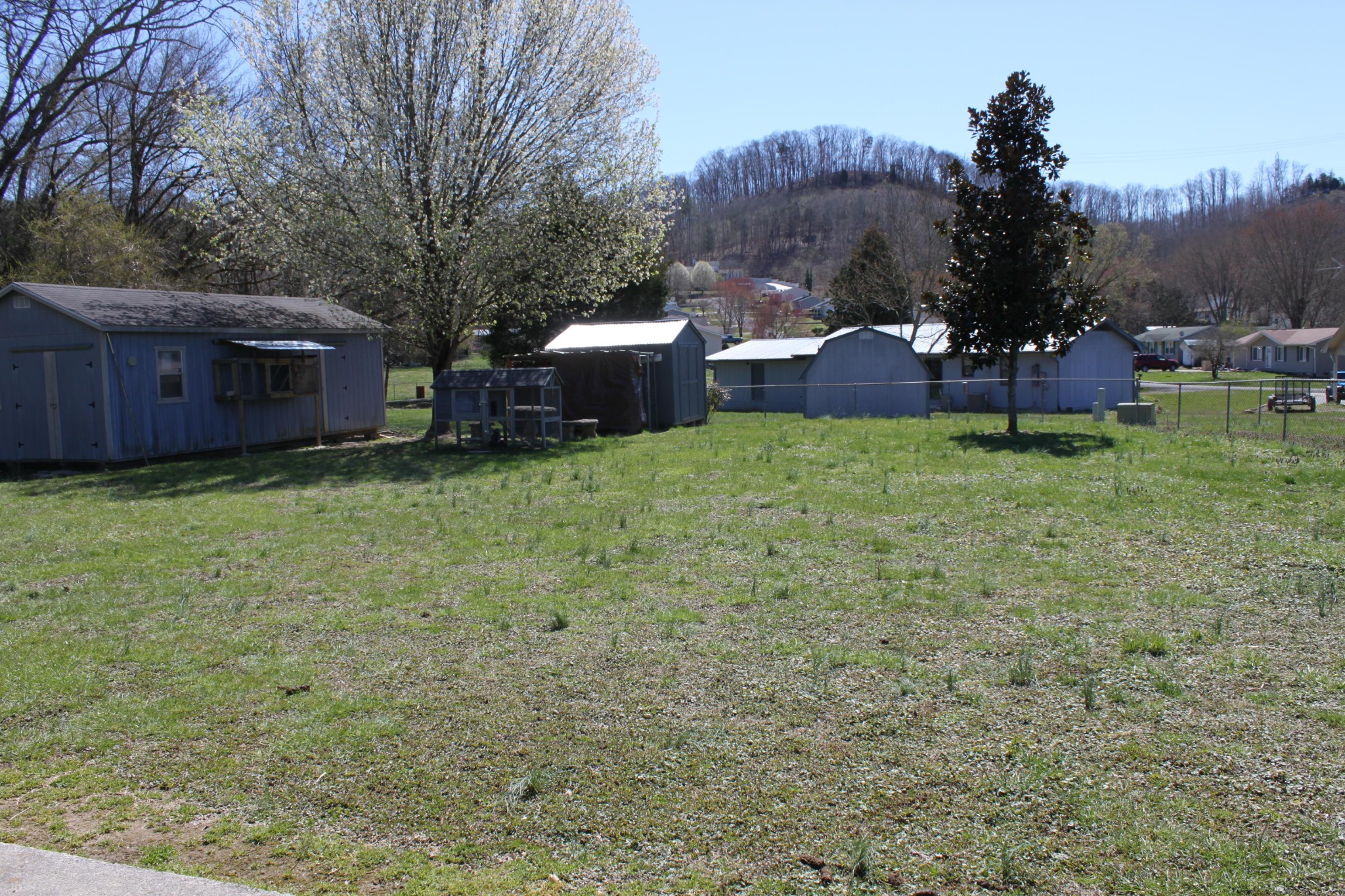 407 Edgemoor Road Powell, TN 37849 - Photo 6 of 16 Gallery Image 6