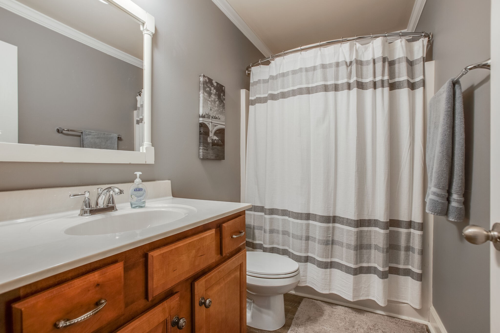 2010 Birch Lane Spring Hill, TN 37174 - Photo 7 of 25 a bathroom with a sink a toilet a mirror and shower curtain