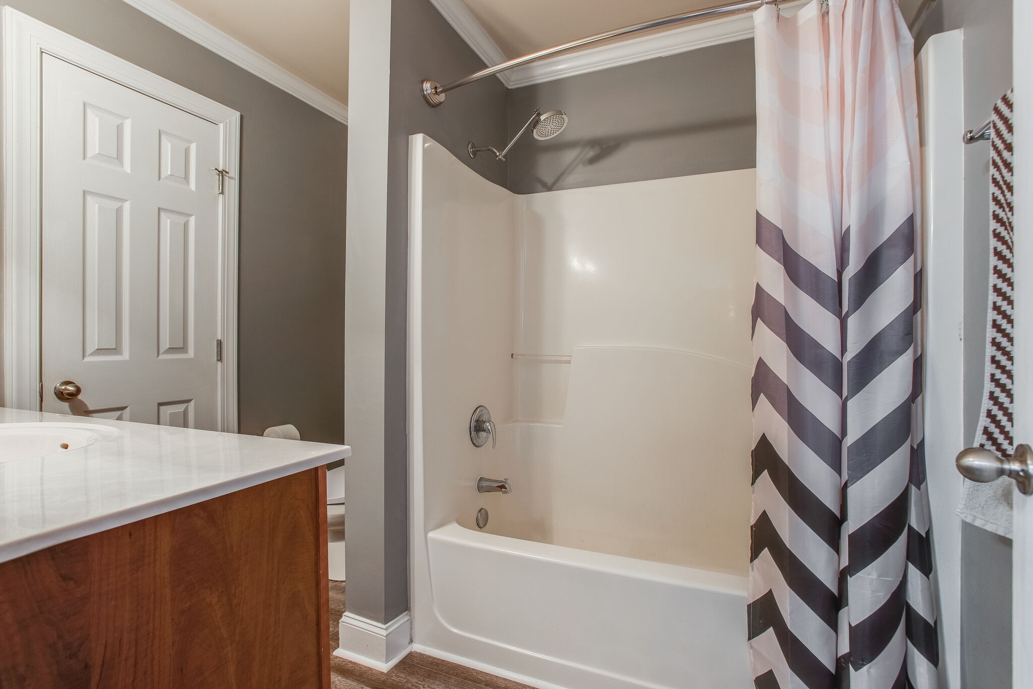 2010 Birch Lane Spring Hill, TN 37174 - Photo 10 of 25 a bathroom with a bathtub and a shower