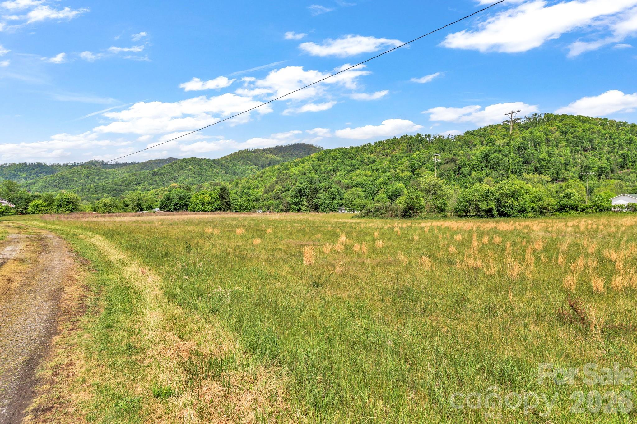 45 Sugar Cove Road Weaverville, NC 28787 - Photo 46 of 47