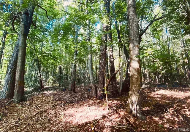 a view of outdoor space and trees