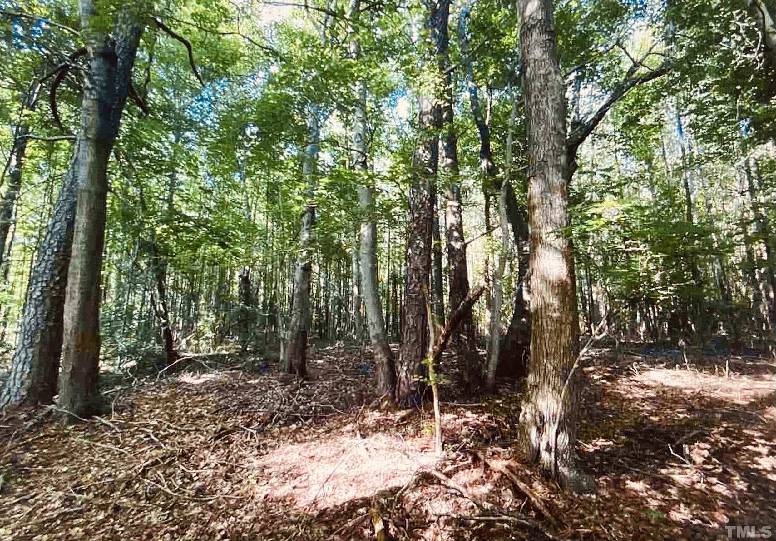 0 Purnell Road Wake Forest, NC 27587 - Photo 5 of 5 a view of outdoor space and trees